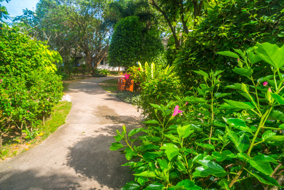 Gartenanlage Lamai Wanta Beach Resort