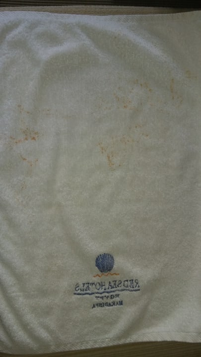 Zimmer Makadi Spa - Adults only