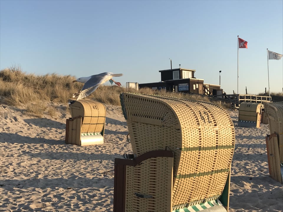 Strand Ferienwohnungen Ferienpark Weissenhäuser Strand