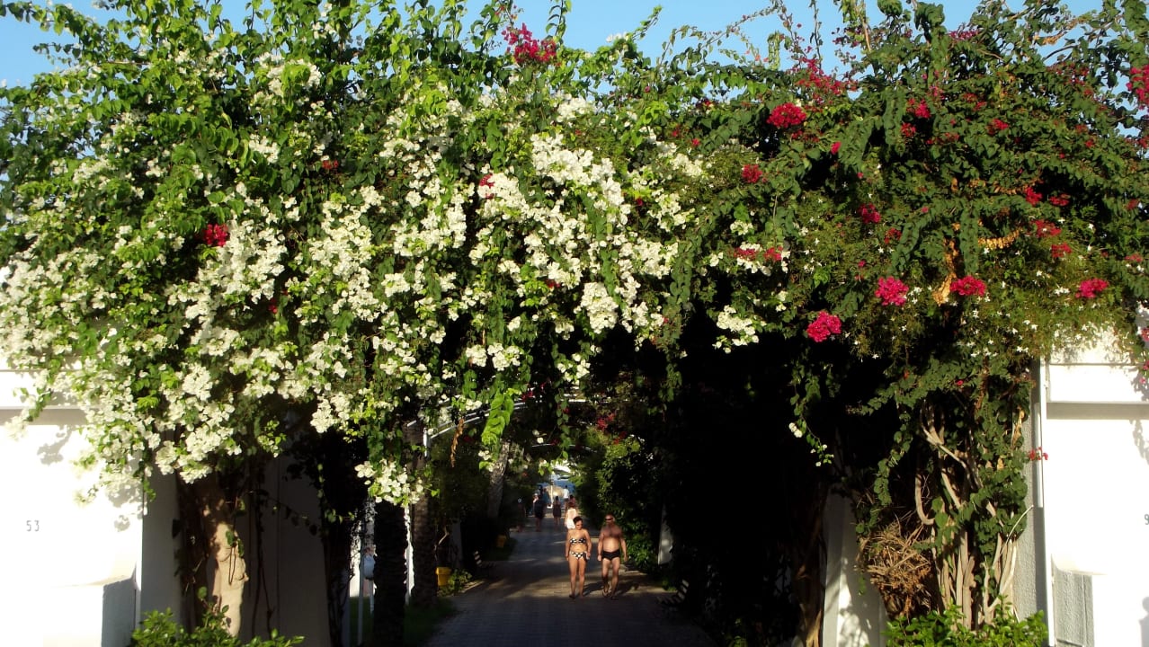 Weg zum Strand El Mouradi Club Kantaoui