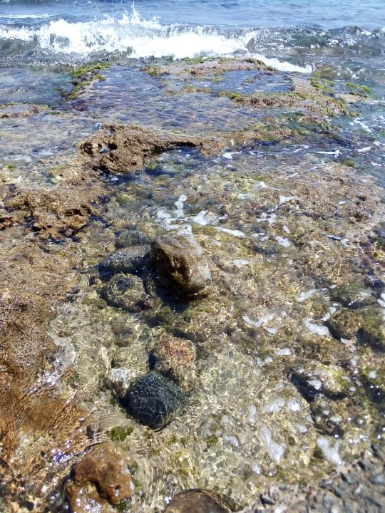 Außenansicht Alexander Beach Hotel & Village Resort