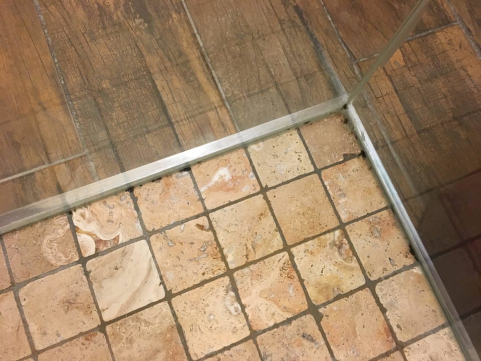 Schimmel in der Dusche Vitalhotel Sonnenhof