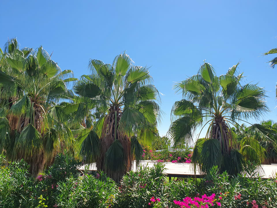 Gartenanlage VONRESORT Golden Coast