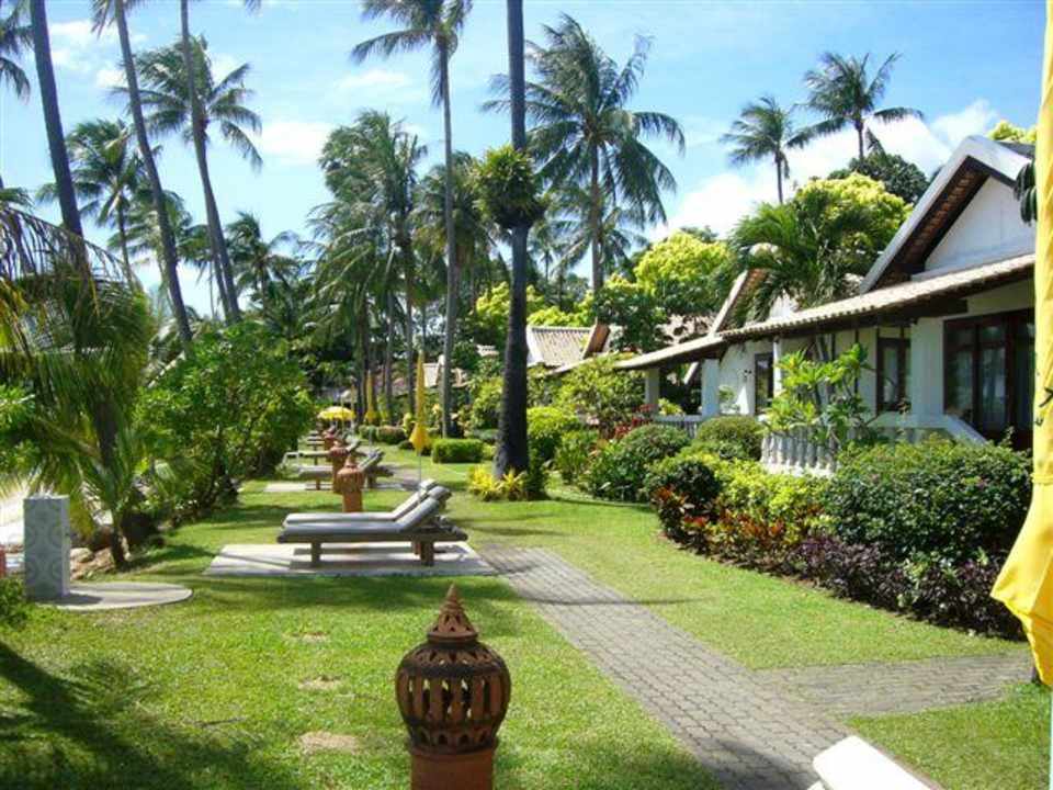 Gartenanlage Hotel Samui Palm Beach Resort