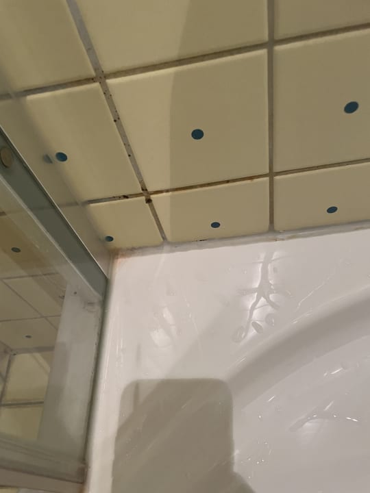 Zimmer Penck Hotel Dresden