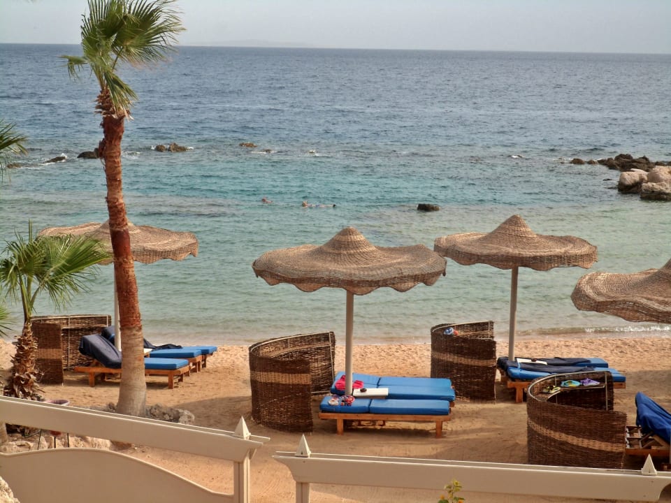 Ausblick Pickalbatros Citadel Resort