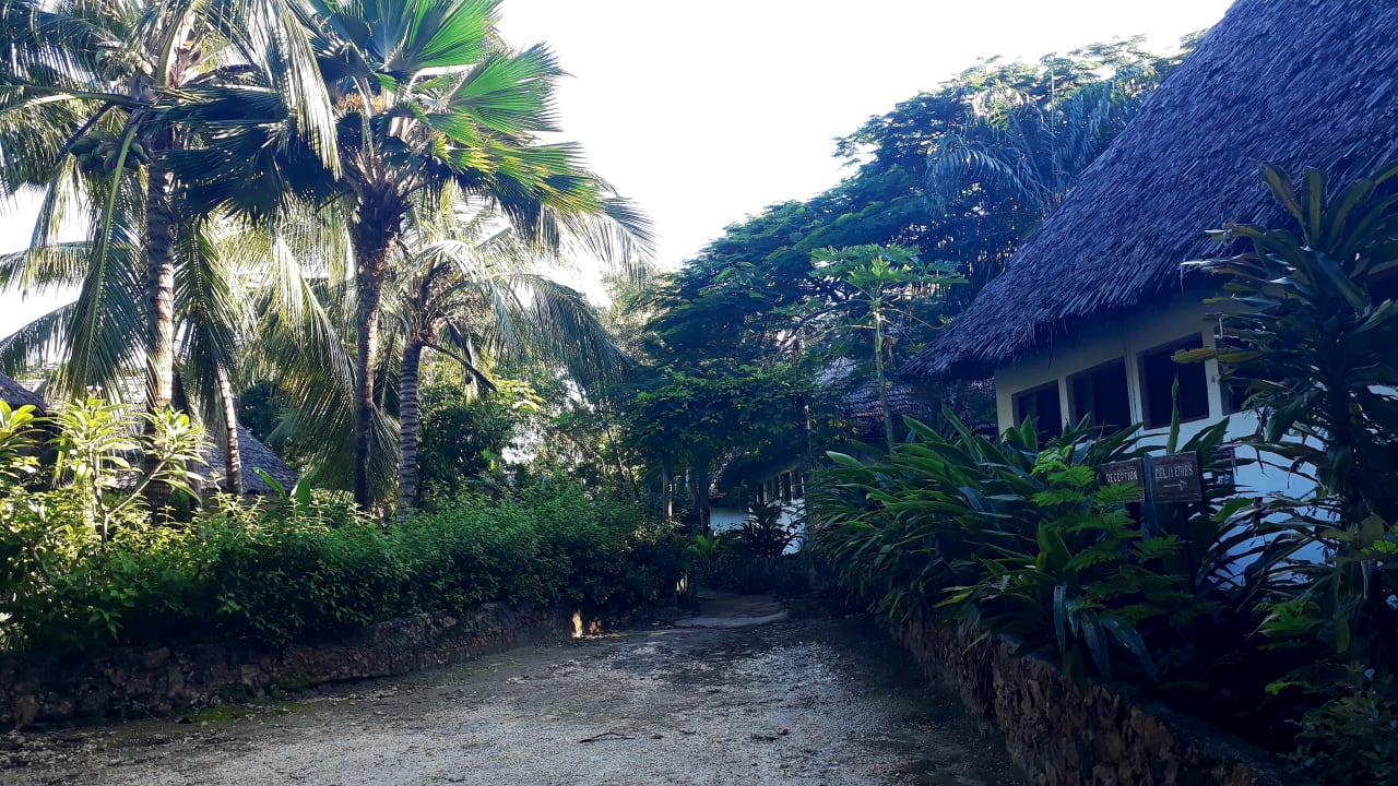 Gartenanlage Spice Island Hotel & Resort