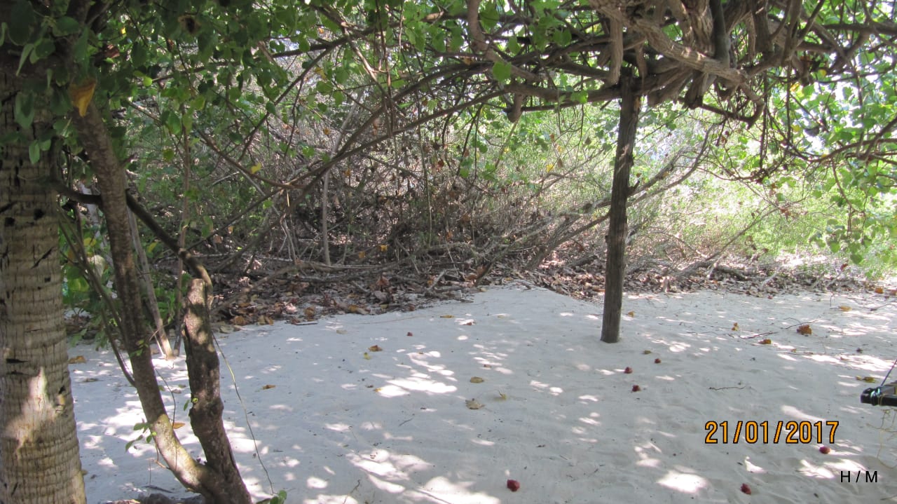 Außenansicht Embudu Village