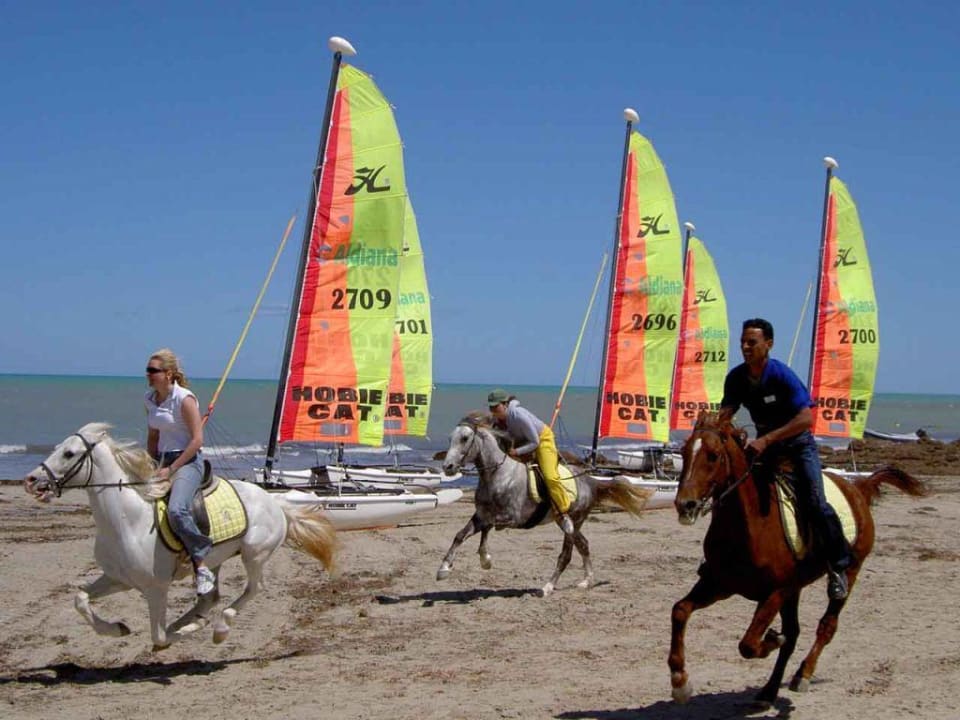 Reiten am Strand Aldiana Club Djerba Atlantide