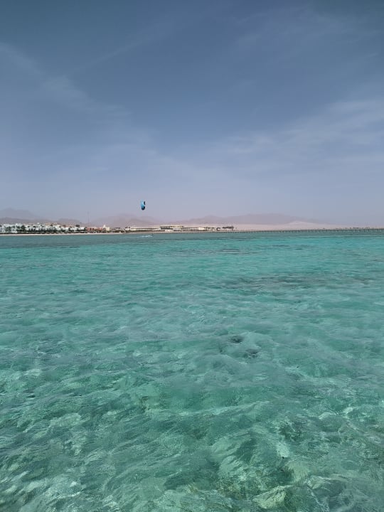 Strand Pickalbatros Royal Moderna Resort-Sharm El Sheikh