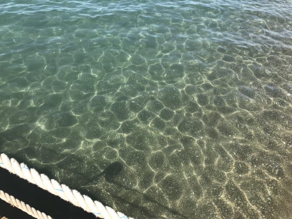 Strand Royal Wings Hotel