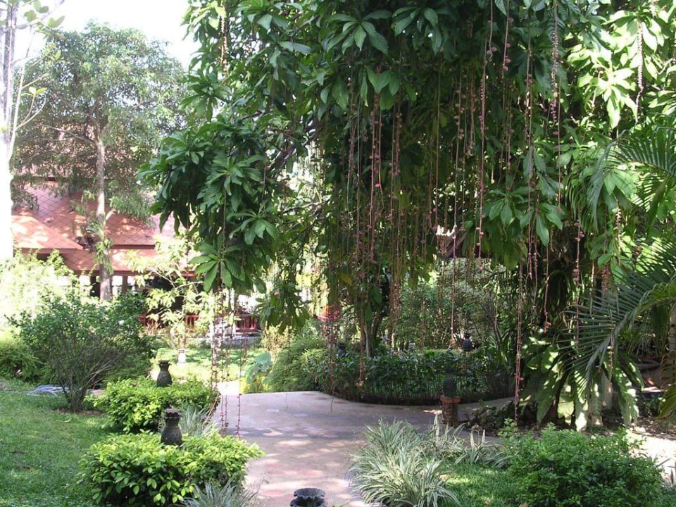 Blick von Rezeption auf Restaurant Khao Lak Bayfront Resort