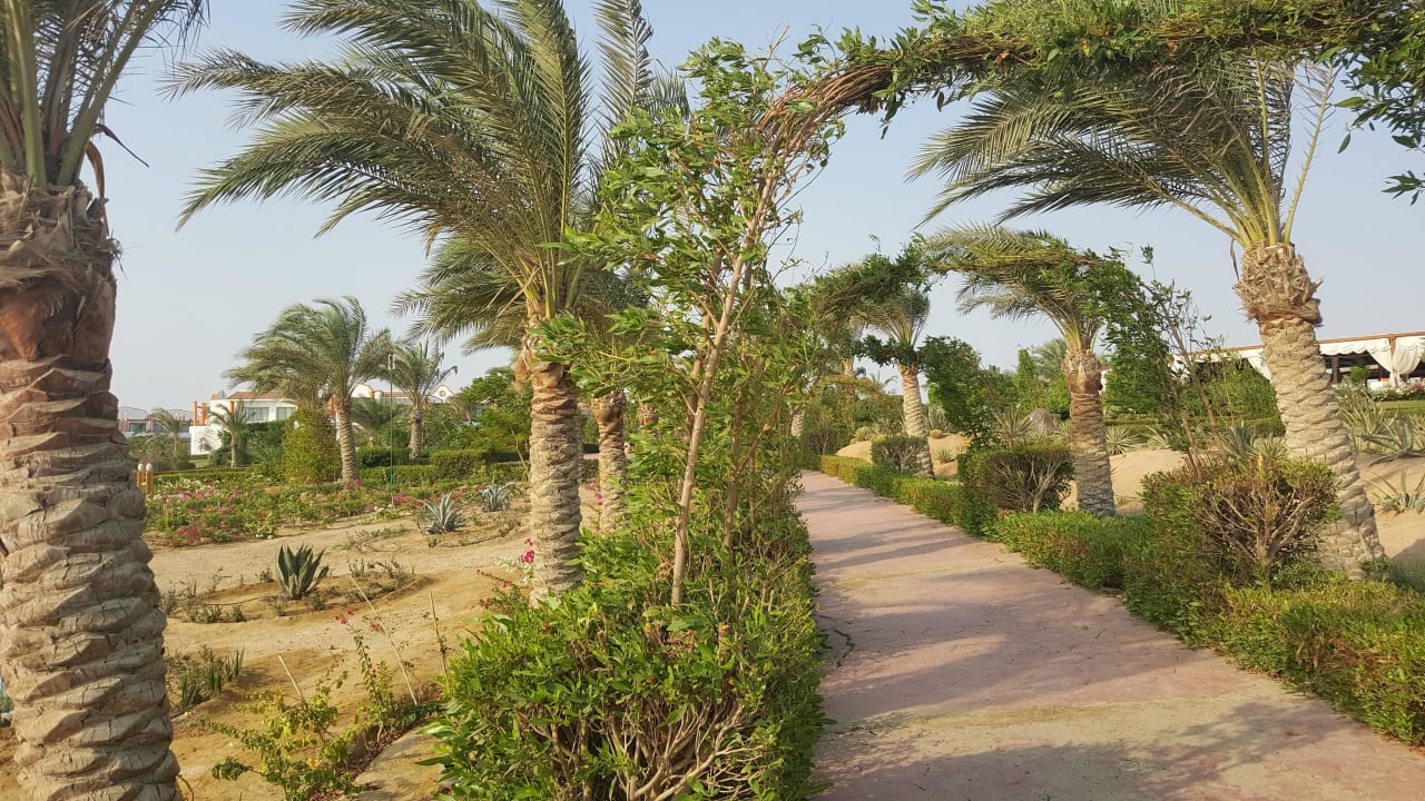 Wege im Garten Fantazia Resort Marsa Alam