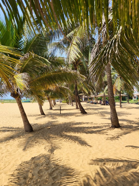 Strand Goldi Sands Hotel