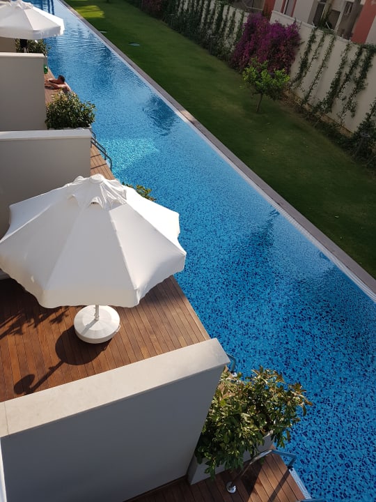 Zimmer Acanthus Cennet Barut Collection