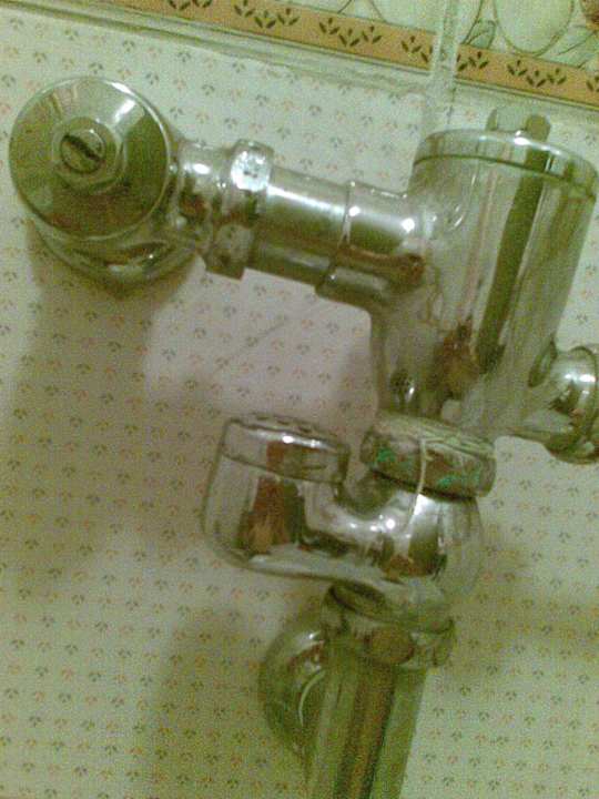 WC Spülung Ghazala Gardens