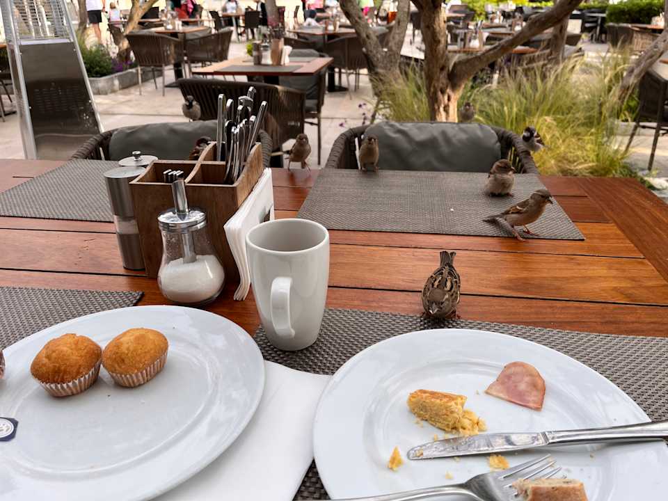 Gastro allsun Hotel Eden Playa