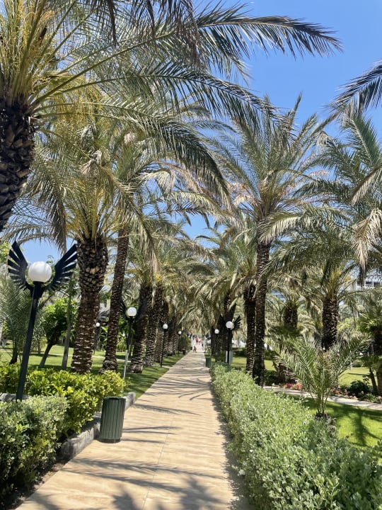 Gartenanlage Royal Wings Hotel