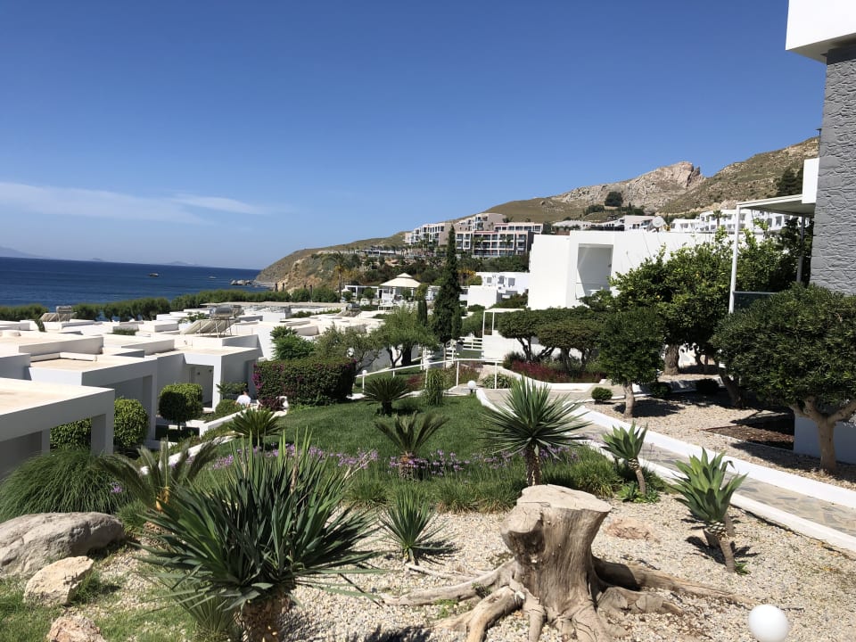 Ausblick Dimitra Beach Hotel & Suites