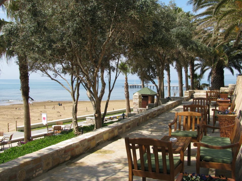 Strand Arum Barut Collection