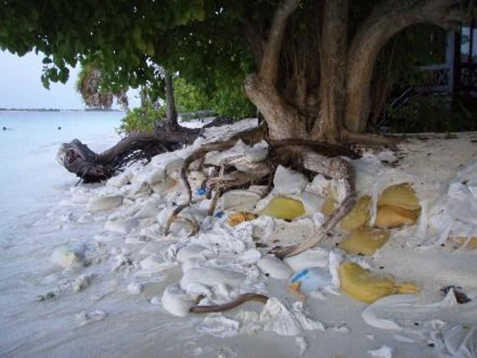 Strand Royal Island