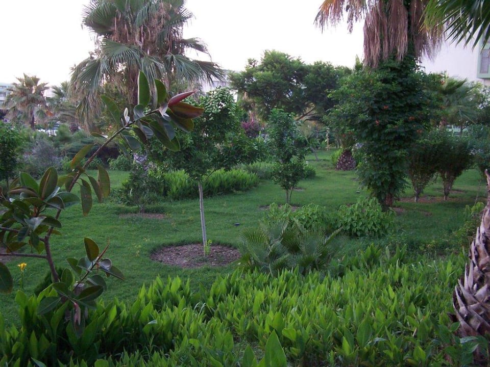 Impressionen 2009 VONRESORT Golden Coast