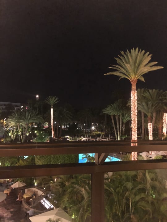 Gartenanlage Seaside Hotel Palm Beach