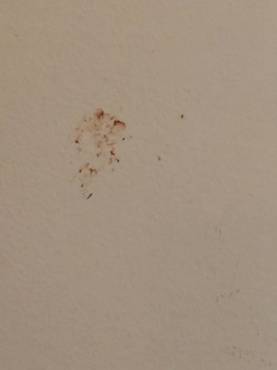 Zimmer Oz Hotels Incekum Beach