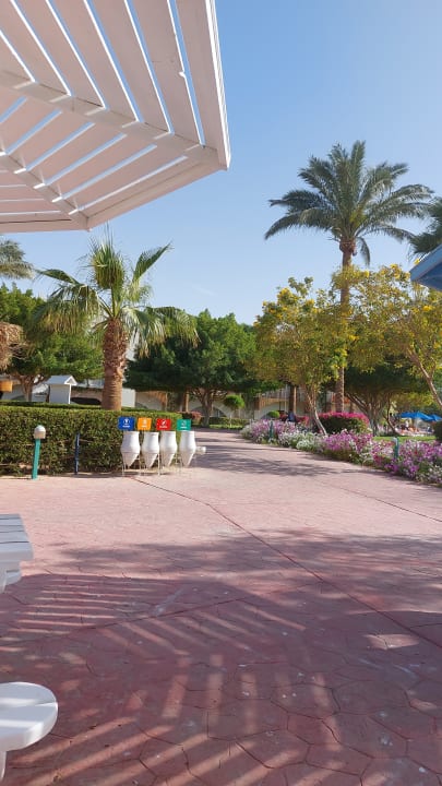 Gartenanlage Desert Rose