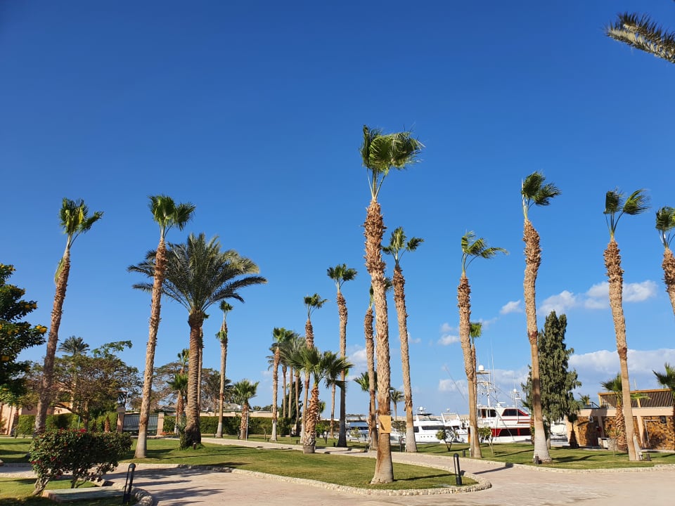Gartenanlage Continental Hotel Hurghada