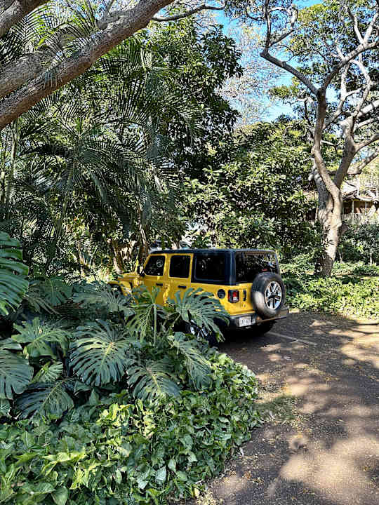 Sonstiges Paniolo Hale