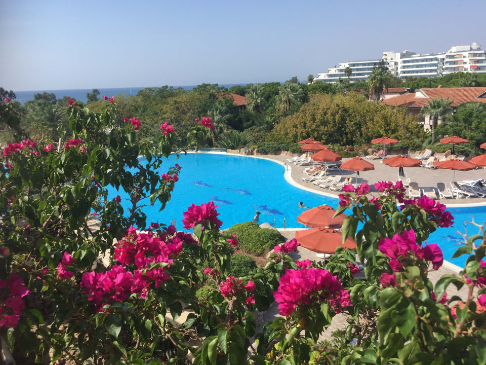 Ausblick Starlight Resort Hotel