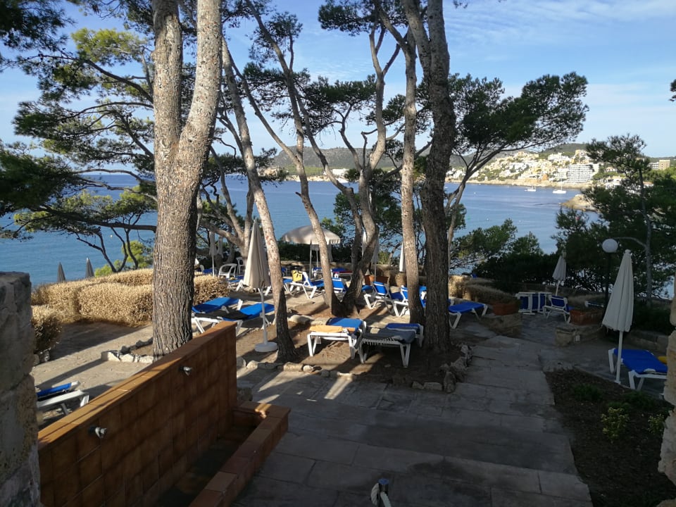 Gartenanlage Universal Hotel Lido Park & Spa