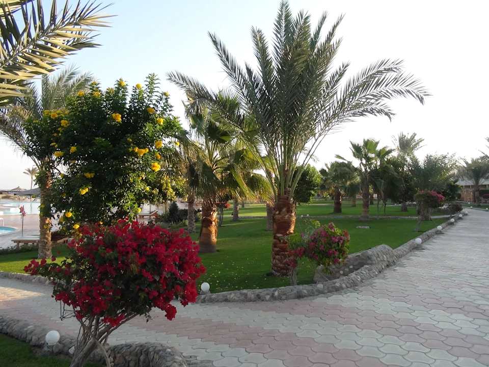 Ogród Three Corners Sea Beach Resort