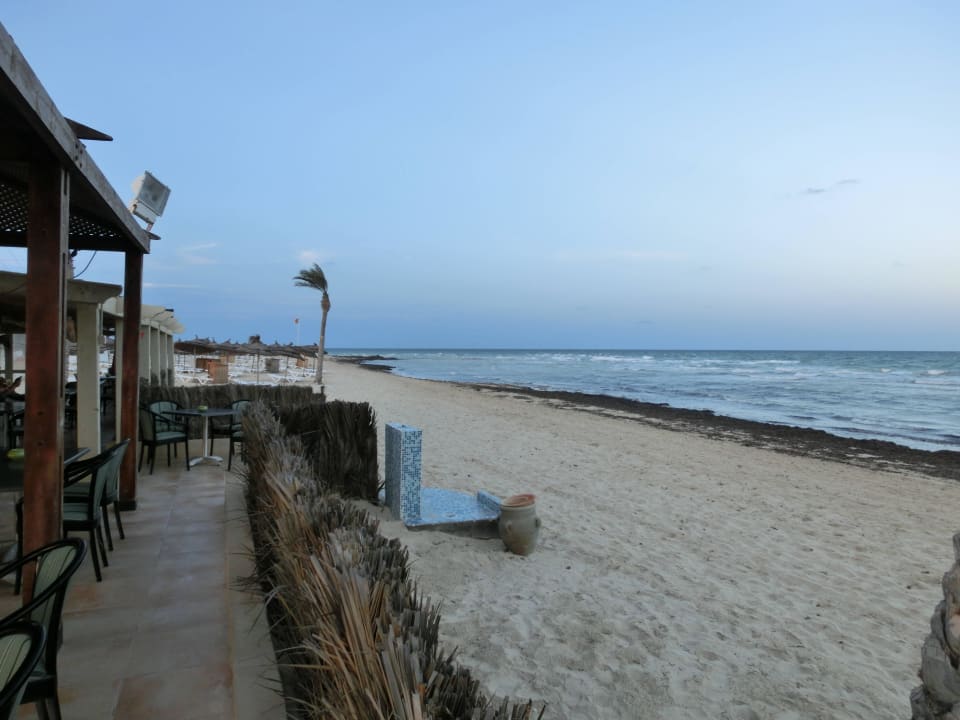 Strand mit Algen ROBINSON DJERBA BAHIYA