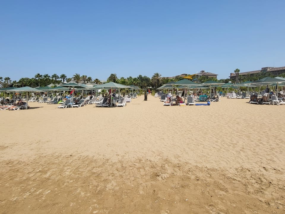 Strand Paloma Oceana