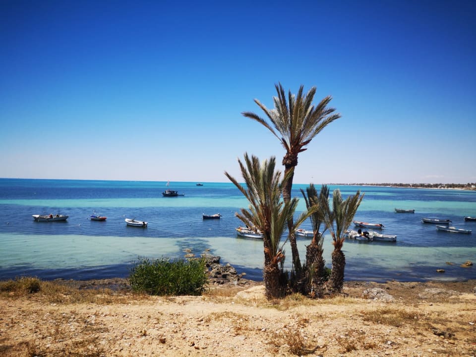 Strand Hotel El Mouradi Djerba Menzel