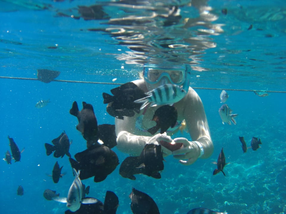 Hausriff Titanic Beach Spa & Aqua Park