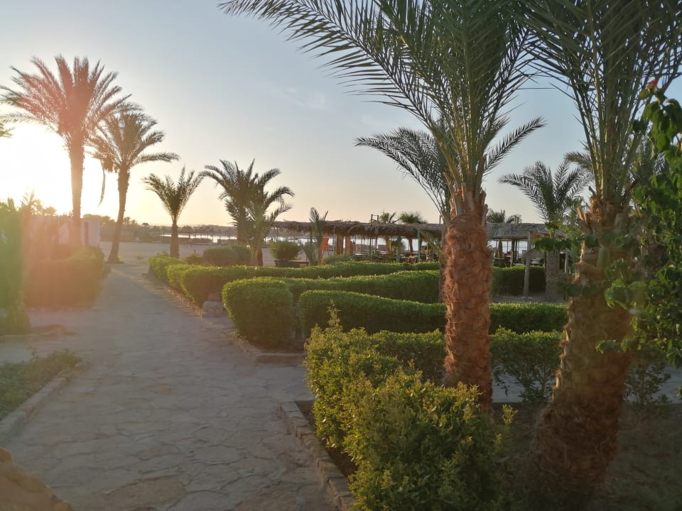 Gartenanlage Pensée Royal Garden Beach Resort