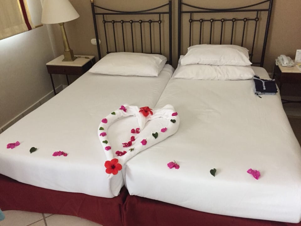 Bett Jaz Makadi Saraya Resort