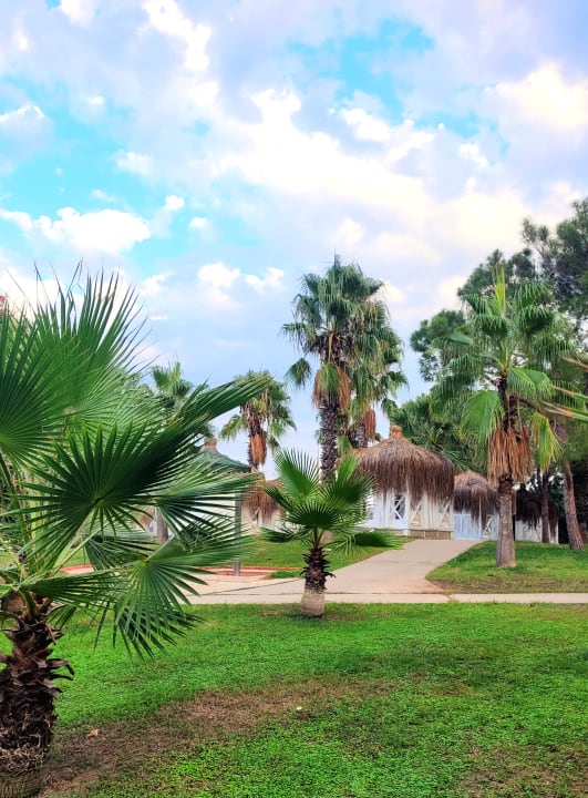 Gartenanlage Balmy Foresta