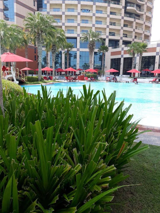Pool Khalidiya Palace Rayhaan by Rotana