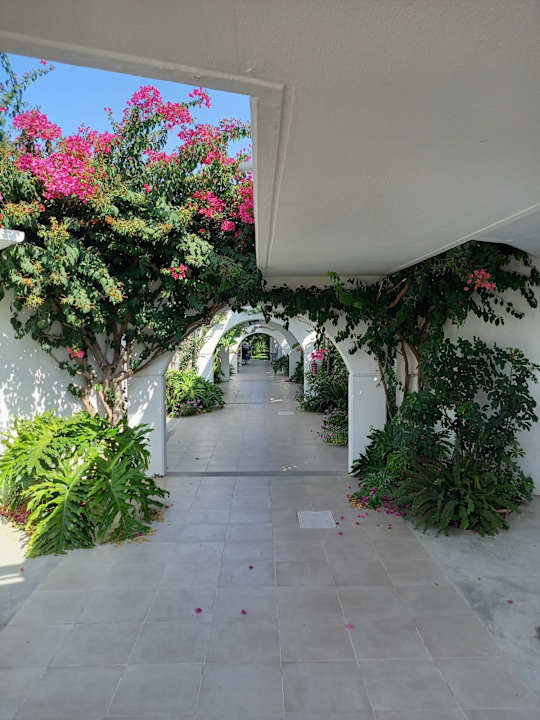 Sonstiges TUI KIDS CLUB Alex Beach