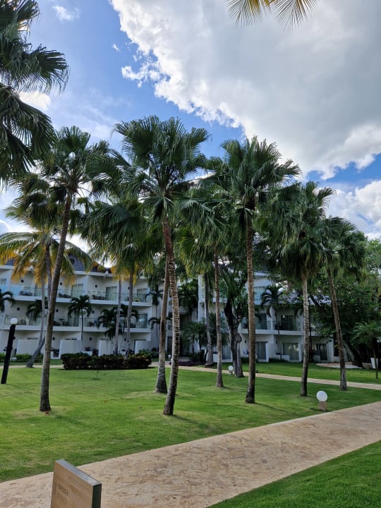 Gartenanlage Dreams La Romana Resort & Spa