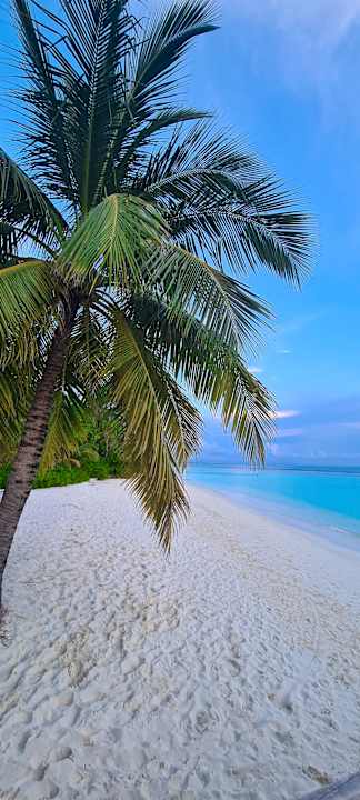 Strand Safari Island Maldives