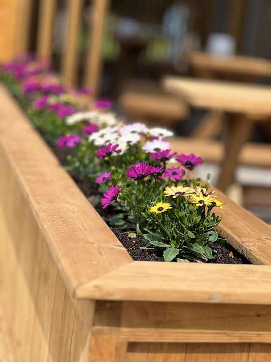 Gartenanlage Saturn Palace Resort Hotel