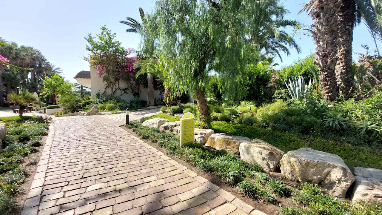 Gartenanlage TUI MAGIC LIFE Africana