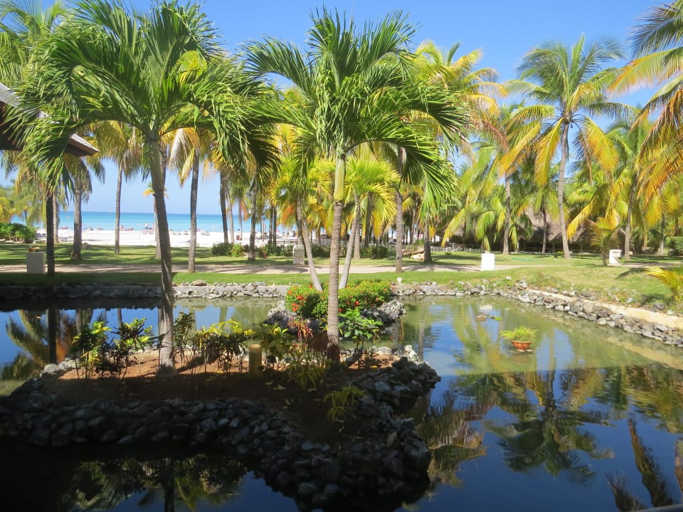 Garten Paradisus Varadero Resort & Spa