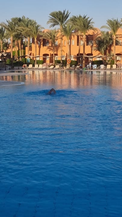Pool Jaz Makadi Oasis Resort
