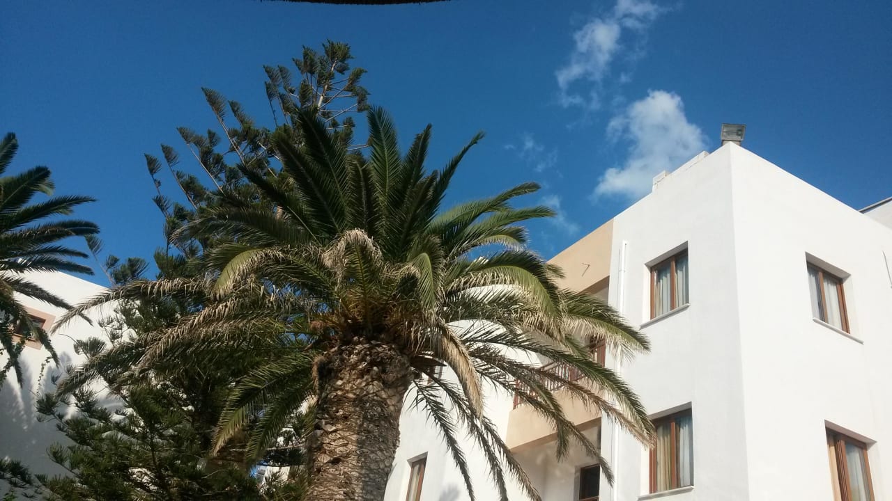 Blick in den Himmel  Hotel South Coast